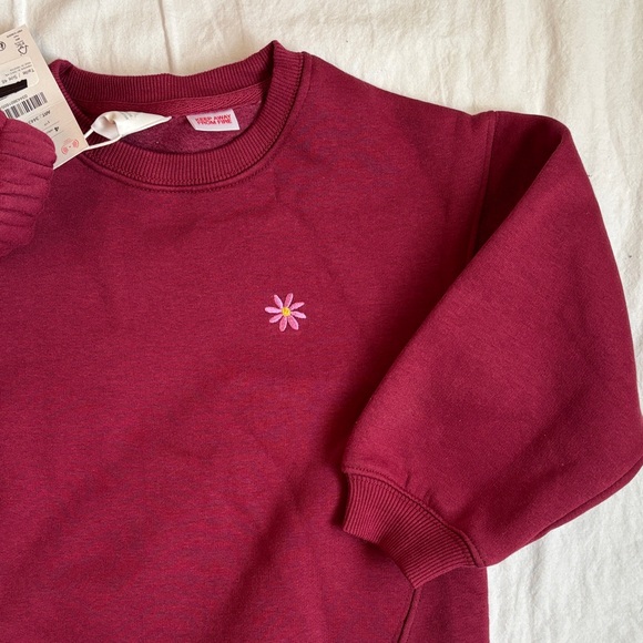 Zara Kids Maroon Sweatshirt and Jogger Set - Picture 2 of 2